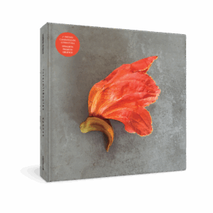 Intermitências apenas - Finalista Prêmio Candango 2025 Melhor Projeto Gráfico