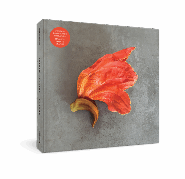 Capa 3D_intermitências apenas_Premio Candango