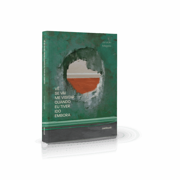 Capa 3D_Vê se vai me visitar_site