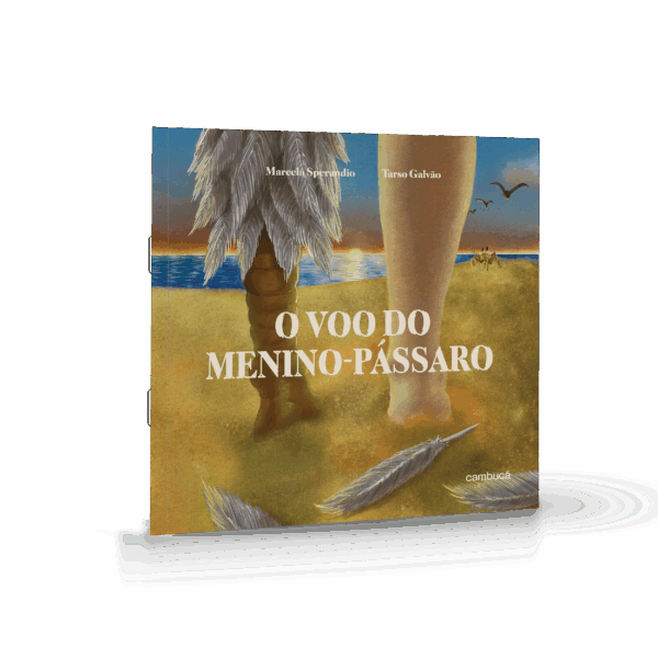 Capa 3D_O voo do menino-pássaro
